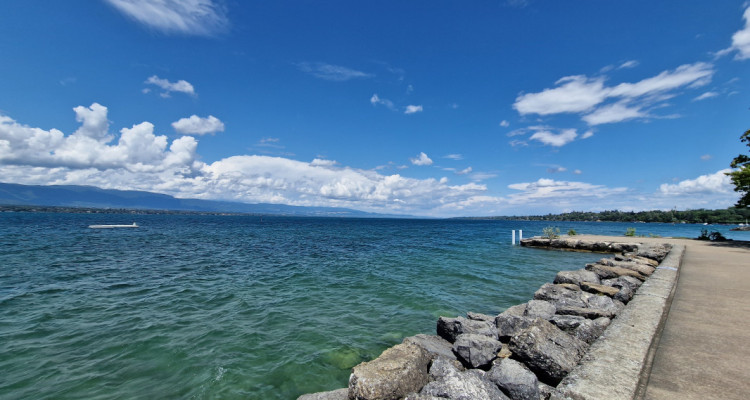 La somptueuse Villa : une élégante villa familiale / Collonge-Bellerive image 3