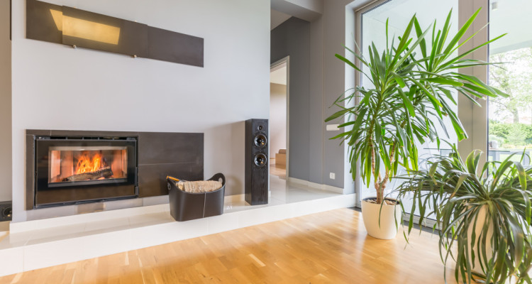 La somptueuse Villa : une élégante villa familiale / Collonge-Bellerive image 1