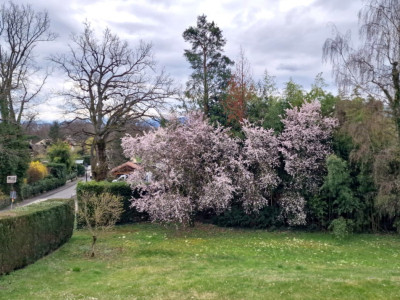 Villa Azur, magnifique piscine et jardin, pompe à chaleur, Bellevue image 13