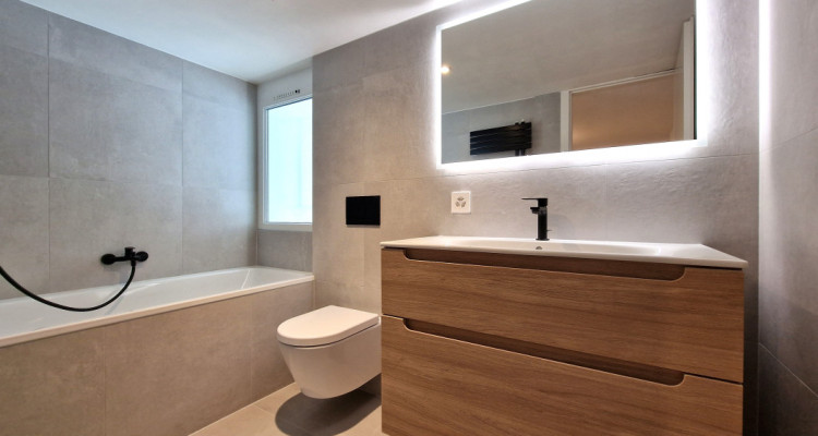 Villa Azur, magnifique piscine et jardin, pompe à chaleur, Bellevue image 12