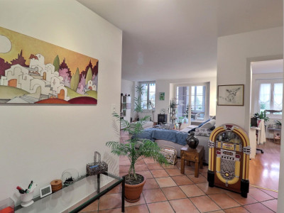 Superbe appartement en viager occupé sans rente avec piscine et vue Lac image 9