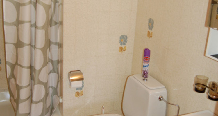 Dès le 01.05.26  Studio Margueron n° 264 au centre de Vercorin image 5