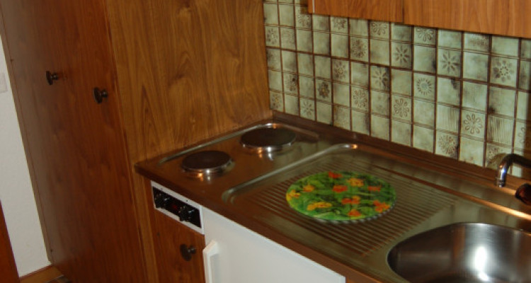 Dès le 01.05.26  Studio Margueron n° 264 au centre de Vercorin image 6