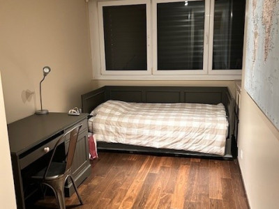 Appartement meublé 6 pièces Av. de la Roseraie 42 image 8