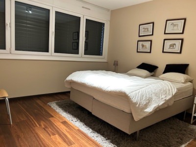 Appartement meublé 6 pièces Av. de la Roseraie 42 image 9