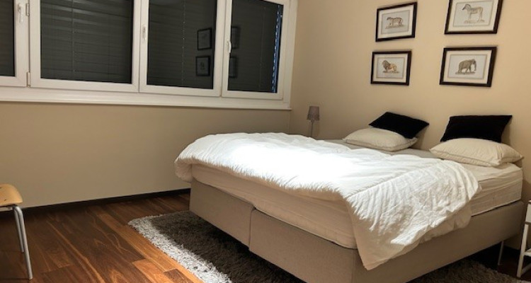 Appartement meublé 6 pièces Av. de la Roseraie 42 image 9