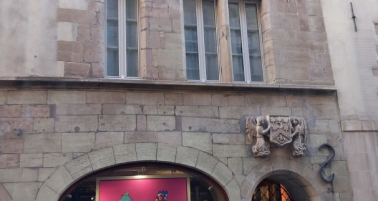 Unique opportunité dans la Cité image 1