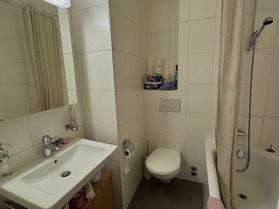 Appartement 2.5 pièces Jonction  image 4