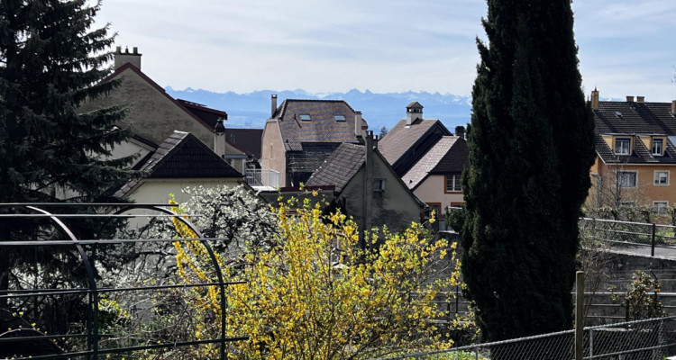 Rez-de-jardin avec vue sur le lac et les Alpes image 6