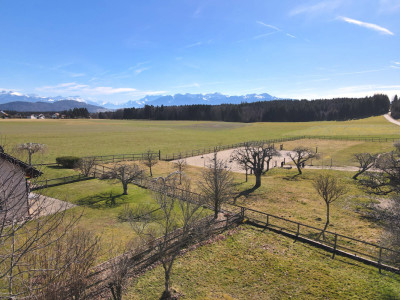 Villa mitoyenne de 5.5 pièces image 3