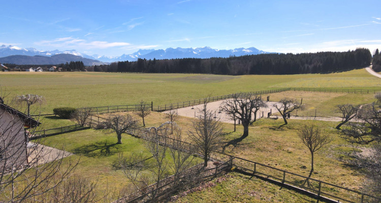 Villa mitoyenne de 5.5 pièces image 3