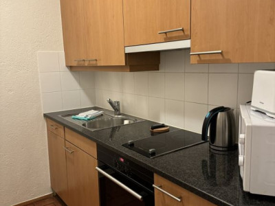 Beautiful Furnished 2 pieces Apartment with a balcony  Carouge (Geneva) image 2