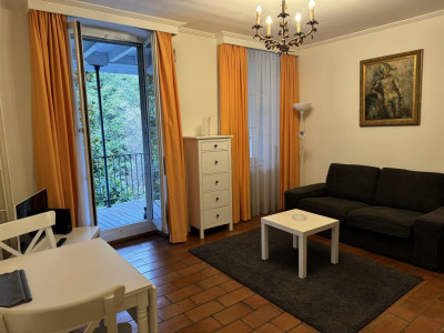 Beautiful Furnished 2 pieces Apartment with a balcony  Carouge (Geneva) image 1