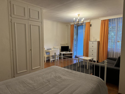 Beautiful Furnished 2 pieces Apartment with a balcony  Carouge (Geneva) image 3