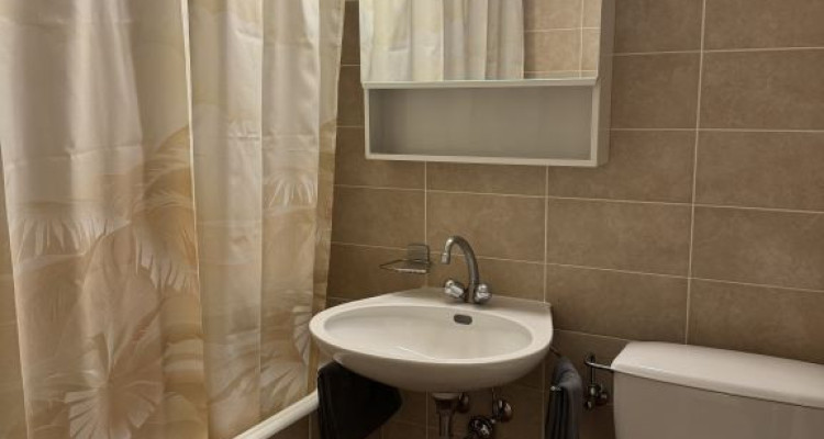 Beautiful Furnished 2 pieces Apartment with a balcony  Carouge (Geneva) image 5