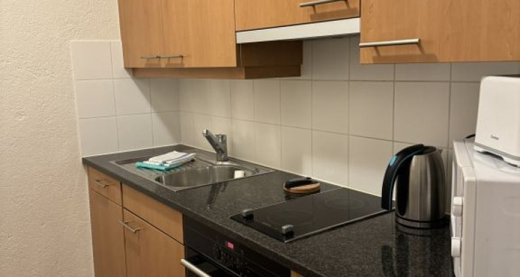 Beautiful Furnished 2 pieces Apartment with a balcony  Carouge (Geneva) image 2