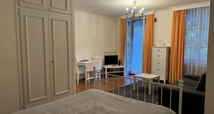 Beautiful Furnished 2 pieces Apartment with a balcony  Carouge (Geneva) image 3