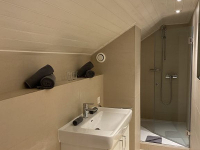 Beautiful Furnished 2 pieces attic Apartment  Carouge (Geneva) image 4