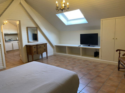 Beautiful Furnished 2 pieces attic Apartment  Carouge (Geneva) image 1