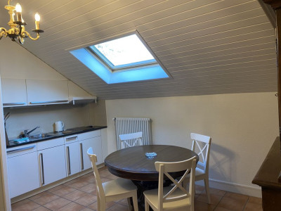 Beautiful Furnished 2 pieces attic Apartment  Carouge (Geneva) image 2