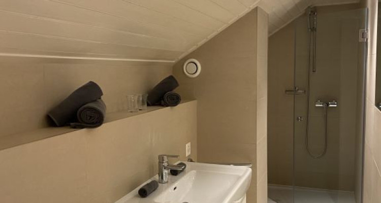 Beautiful Furnished 2 pieces attic Apartment  Carouge (Geneva) image 4