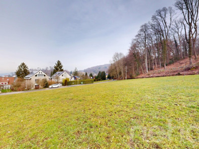 Bauland in Bettingen ? seltene Gelegenheit image 7