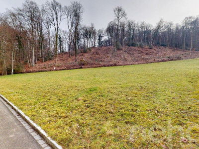 Bauland in Bettingen ? seltene Gelegenheit image 9