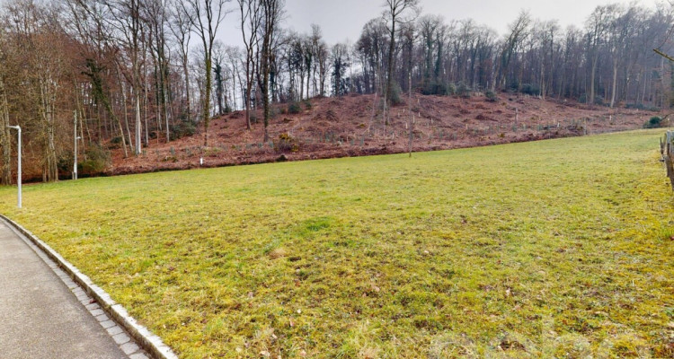 Bauland in Bettingen ? seltene Gelegenheit image 9