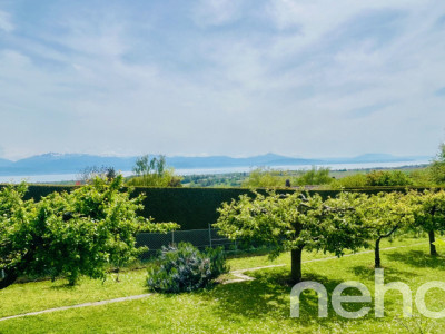 Somptueuse propriété avec vue imprenable sur lac et montagnes image 9