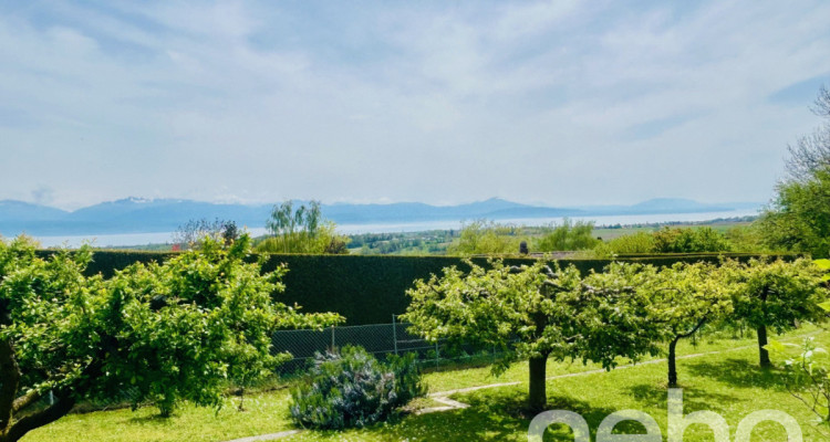 Somptueuse propriété avec vue imprenable sur lac et montagnes image 9