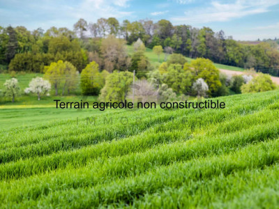 Terrain agricole non constructible avec cabane et vue panoramique sur Genève image 1