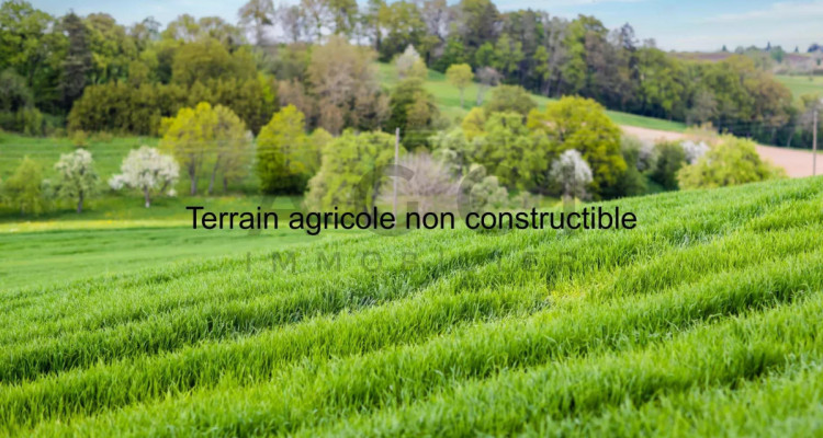 Terrain agricole non constructible avec cabane et vue panoramique sur Genève image 1