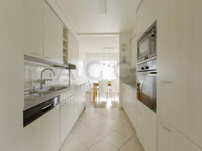 Appartement spacieux et traversant lumineux avec balcons image 5