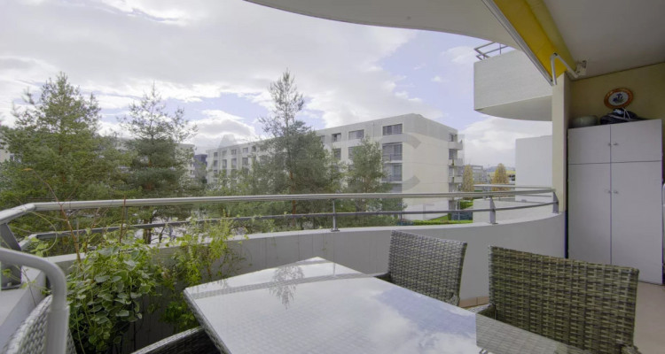 Appartement spacieux et traversant lumineux avec balcons image 6