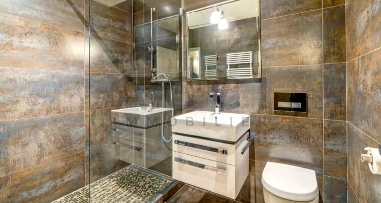 Élégance et Confort : Spacieuse Villa Familiale à Vernier image 11