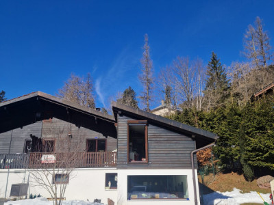 SAINT-CERGUE -  Cosy chalet jumelé avec 2 espaces de vie image 3