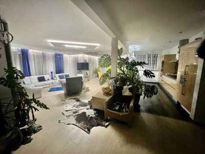 Location longue/courte durée: Villa individuelle 8,5 pièces avec piscine image 1