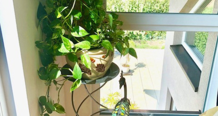 Location longue/courte durée: Villa individuelle 8,5 pièces avec piscine image 7