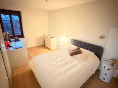 Très joli 4 pièces entièrement rénové en campagne Genevoise image 3