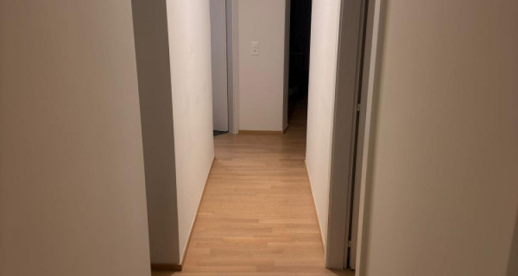 Très joli 4 pièces entièrement rénové en campagne Genevoise image 8