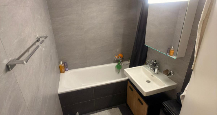 Très joli 4 pièces entièrement rénové en campagne Genevoise image 10