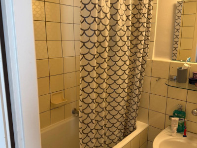 Appartement de 1.5 pièces aux Eaux-Vives image 3