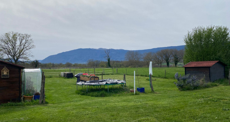 Appartement 5 pièces situé à Cartigny image 9