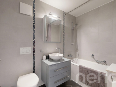 Appartement traversant 3.5p, lumineux avec balcon et vue sur les Alpes image 11