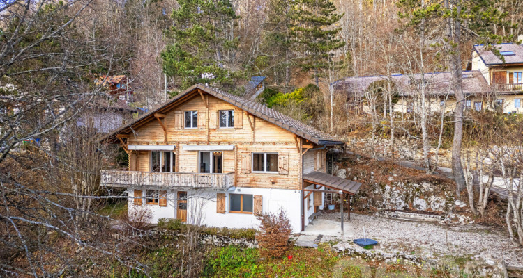 Chalet d?exception à St-Cergue, vue panoramique lac et montagnes image 1