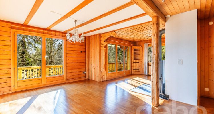 Chalet d?exception à St-Cergue, vue panoramique lac et montagnes image 2