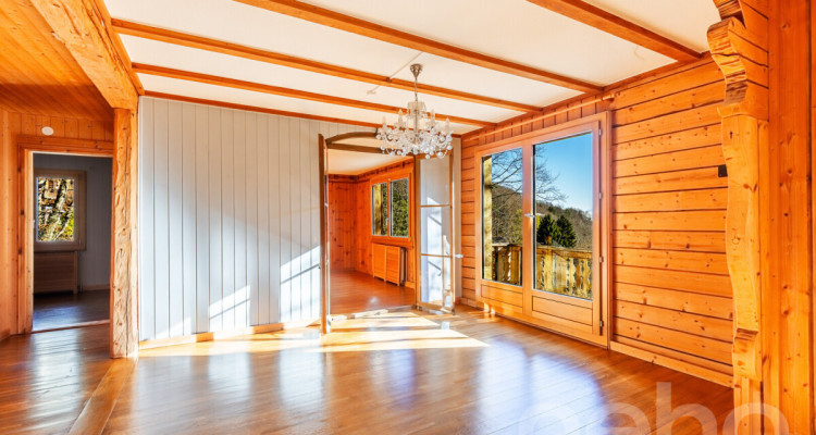 Chalet d?exception à St-Cergue, vue panoramique lac et montagnes image 4