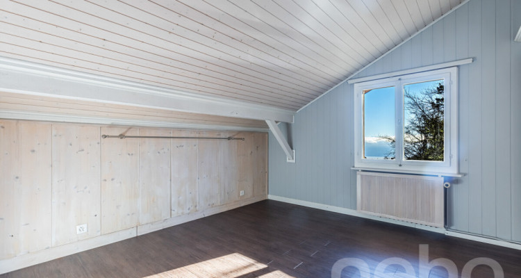 Chalet d?exception à St-Cergue, vue panoramique lac et montagnes image 8