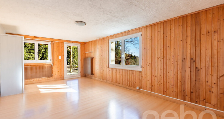 Chalet d?exception à St-Cergue, vue panoramique lac et montagnes image 11