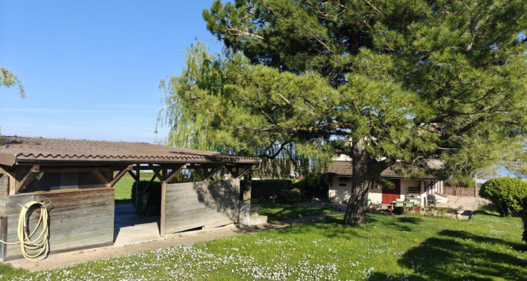 SEMI-EXCLUSIVITÉ : ÉLÉGANTE VILLA FAMILIALE – DULLY image 9